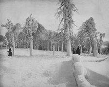 Frost Work in Prospect Park, Niagara c1897. Creator: Unknown