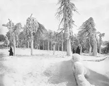 Frost Work in Prospect Park, Niagara, USA, c1900. Creator: Unknown