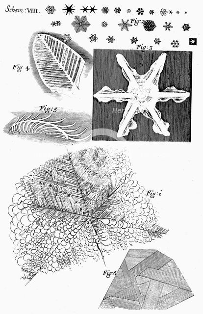 Frozen materials viewed by English microscopist Robert Hooke, 1665. Creator: Unknown.
