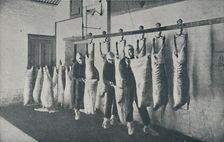 Frozen Meat 1910