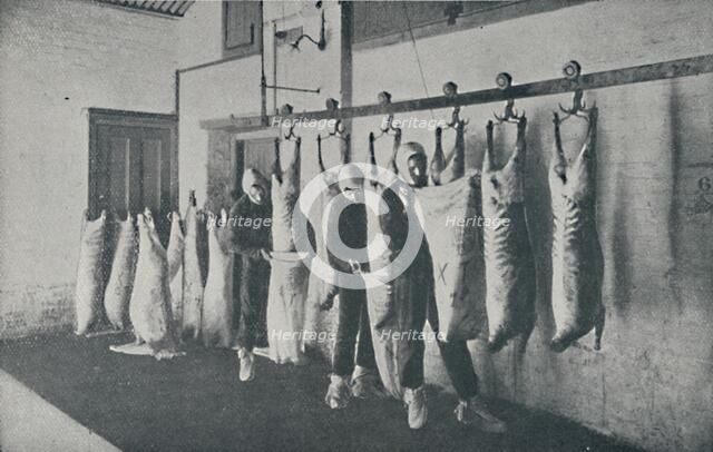 'Frozen Meat', 1910. Artist: Unknown.