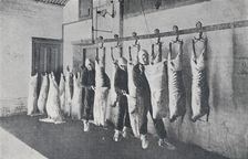 Frozen Meat 1923. Creator: Unknown