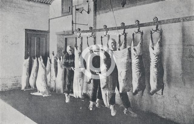'Frozen Meat', 1923. Creator: Unknown.
