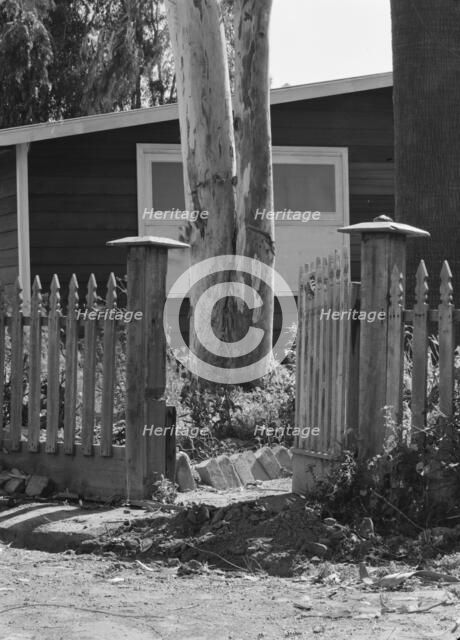 FSA Mineral King Farm Cooperative Association, Tulare County, California, 1939. Creator: Dorothea Lange.