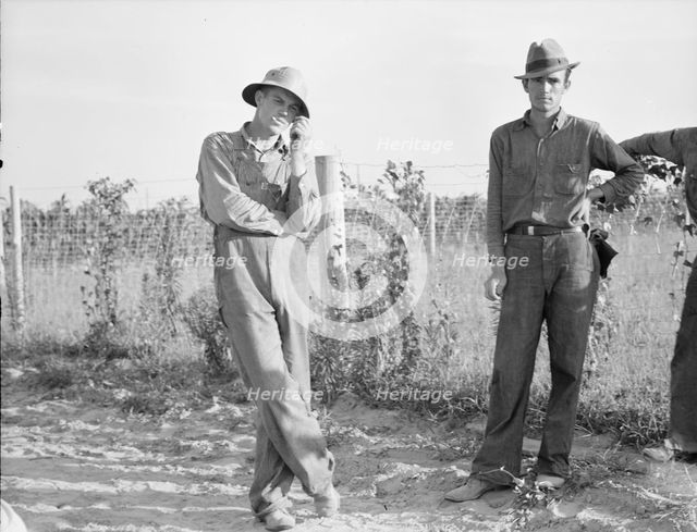 FSA cooperative farm, Lake Dick, Arkansas, 1939. Creator: Dorothea Lange.