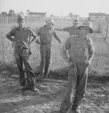 FSA cooperative farm, Lake Dick, Arkansas, 1939. Creator: Dorothea Lange