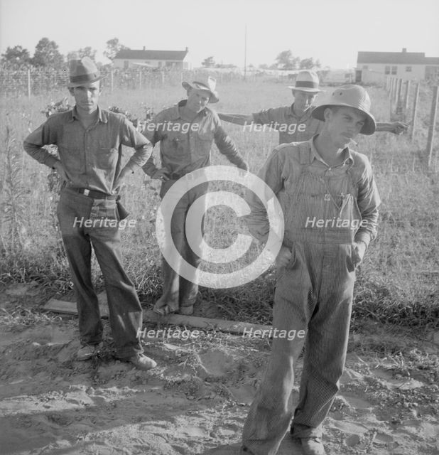 FSA cooperative farm, Lake Dick, Arkansas, 1939. Creator: Dorothea Lange.