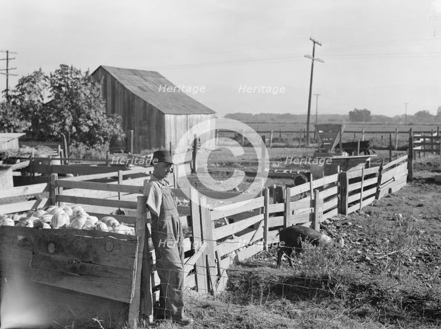 FSA rural rehabilitation client, Tulare County, California, 1938. Creator: Dorothea Lange.