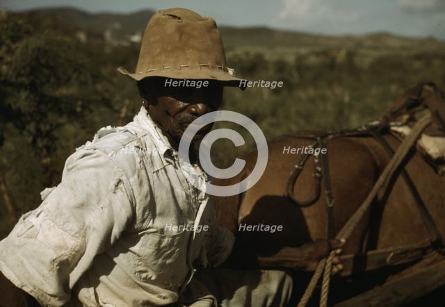 FSA - Tenant Purchase borrower? by his field, Puerto Rico, 1941 or 1942. Creator: Jack Delano.