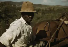 FSA - Tenant Purchase borrower? by his field, Puerto Rico, 1941 or 1942. Creator: Jack Delano