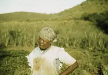 FSA - Tenant Purchase borrower? in her garden, Puerto Rico, 1941 or 1942. Creator: Jack Delano