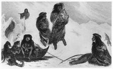 Fuegians going to trade with the Patagonians, 1839. Creator: Unknown