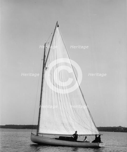 Fugitive, 1896 June 30. Creator: John S Johnston.