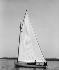 Fugitive, 1896 June 30. Creator: John S Johnston