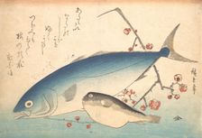 Fugu and Inada Fish, from the series Uozukushi (Every Variety of Fish), 1840s., 1840s. Creator: Ando Hiroshige
