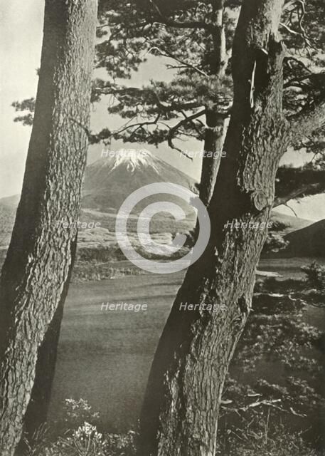 'Fuji Through the Pines of Lake Motosu', 1910. Creator: Herbert Ponting.