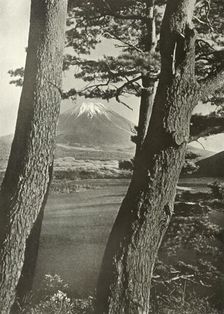 Fuji Through the Pines of Lake Motosu 1910. Creator: Herbert Ponting