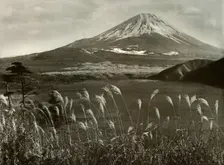 Fuji and the Kaia Grass 1910. Creator: Herbert Ponting