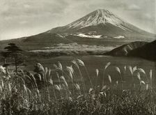 Fuji and the Kaia Grass 1910. Creator: Herbert Ponting