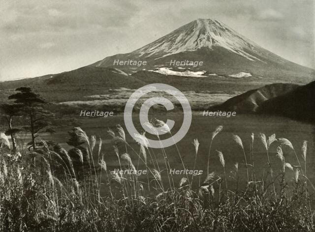 'Fuji and the Kaia Grass', 1910. Creator: Herbert Ponting.