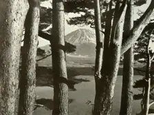 Fuji and the Pine Trees 1910. Creator: Herbert Ponting