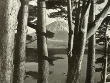 Fuji and the Pine Trees 1910. Creator: Herbert Ponting