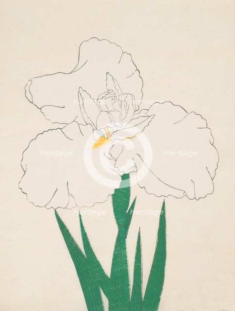 Fuji-No-Yuki, No. 13, 1890, (colour woodblock print)
