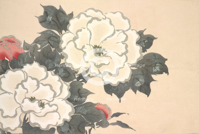 Fukami-Gusa, from Momoyo-gusa (The World of Things) Vol I, pub.1909 (colour block woodcut)