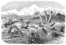 Full Cry, 1850. Creator: Unknown