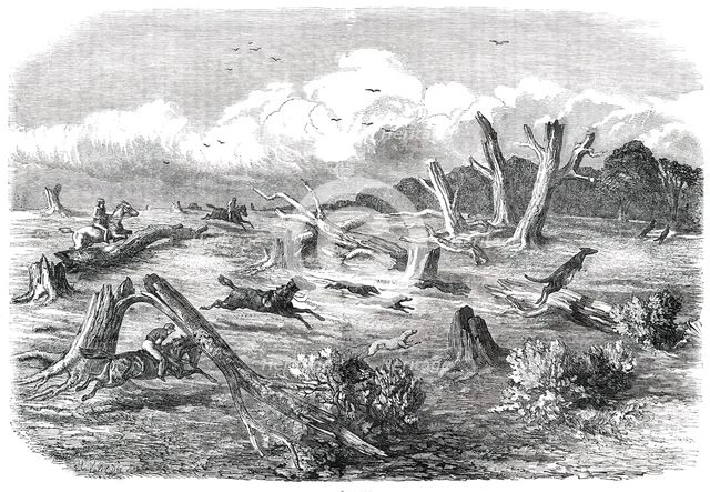 Full Cry, 1850. Creator: Unknown.