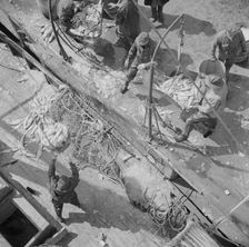 Fulton fish market dock stevedores unloading and weighing fish in the early morning, New York, 1943. Creator: Gordon Parks