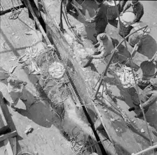Fulton fish market dock stevedores unloading and weighing fish in the early morning, New York, 1943. Creator: Gordon Parks