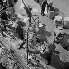 Fulton fish market dock stevedores unloading and weighing fish in the early morning, New York, 1943. Creator: Gordon Parks