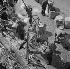Fulton fish market dock stevedores unloading and weighing fish in the early morning, New York, 1943. Creator: Gordon Parks