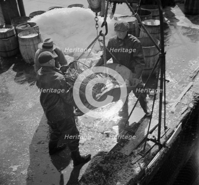 Fulton fish market dock stevedores unloading and weighing fish in the early morning, New York, 1943. Creator: Gordon Parks.