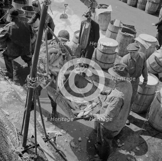 Fulton fish market stevedores unloading and weighing fish in the early morning, New York, 1943. Creator: Gordon Parks.