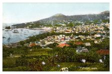 Funchal, Madeira, early 20th century(?)