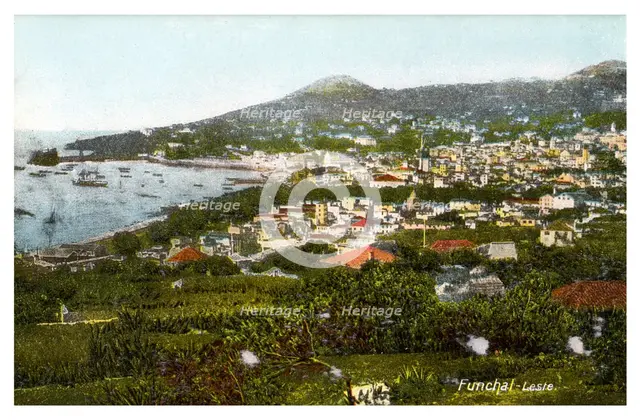 Funchal, Madeira, early 20th century(?). Artist: Unknown