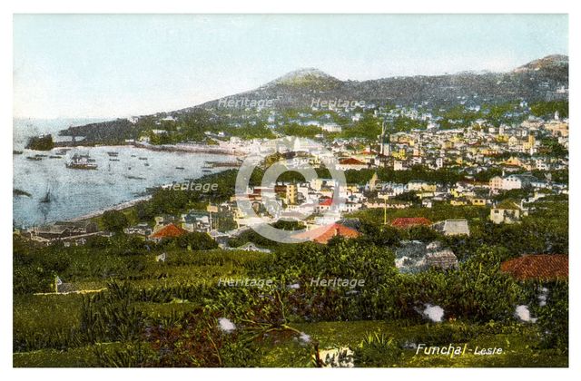 Funchal, Madeira, early 20th century(?). Artist: Unknown