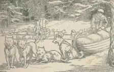 Fur-Trappers 1924