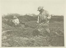 Furze-Cutting on a Suffolk Common, c. 1883/87, printed 1888. Creator: Peter Henry Emerson
