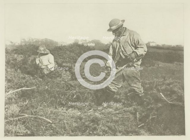 Furze-Cutting on a Suffolk Common, c. 1883/87, printed 1888. Creator: Peter Henry Emerson.