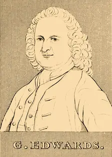 G. Edwards (1694- 1773), 1830. Creator: Unknown