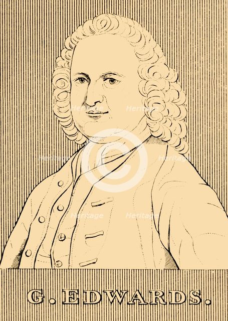 'G. Edwards', (1694- 1773), 1830. Creator: Unknown.