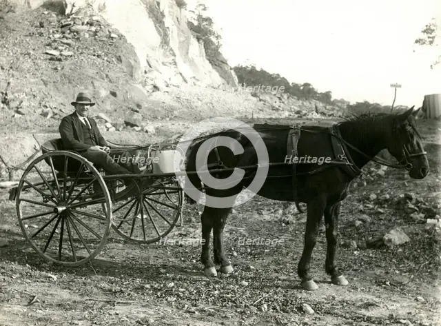 G. Sewell, Mosman Council overseer, c1920. Creator: Unknown.