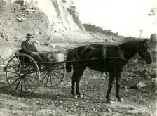 G. Sewell, Mosman Council overseer, c1920. Creator: Unknown