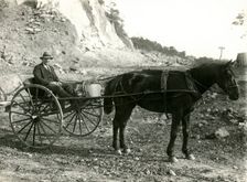 G. Sewell, Mosman Council overseer, c1920. Creator: Unknown