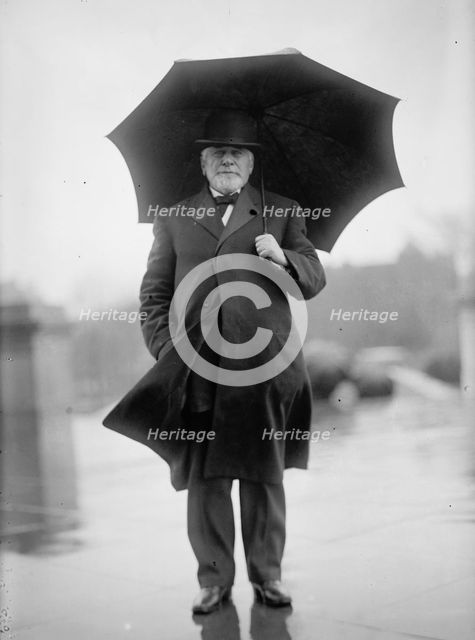 Knute Nelson, Rep. from Minnesota, 1911. Creator: Harris & Ewing.