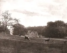 Knole Park, Sevenoaks, Kent, 1894. Creator: Unknown