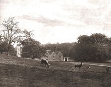 Knole Park, Sevenoaks, Kent, 1894. Creator: Unknown
